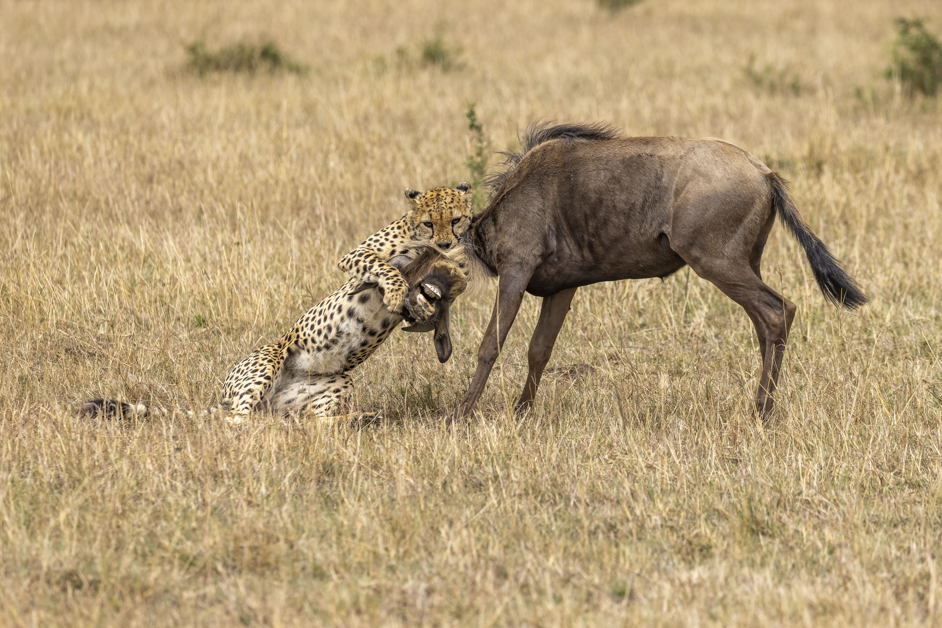 November 12, 2022-110234-6-Edit.jpg